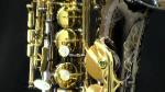 alto-sax-saxophone-w29